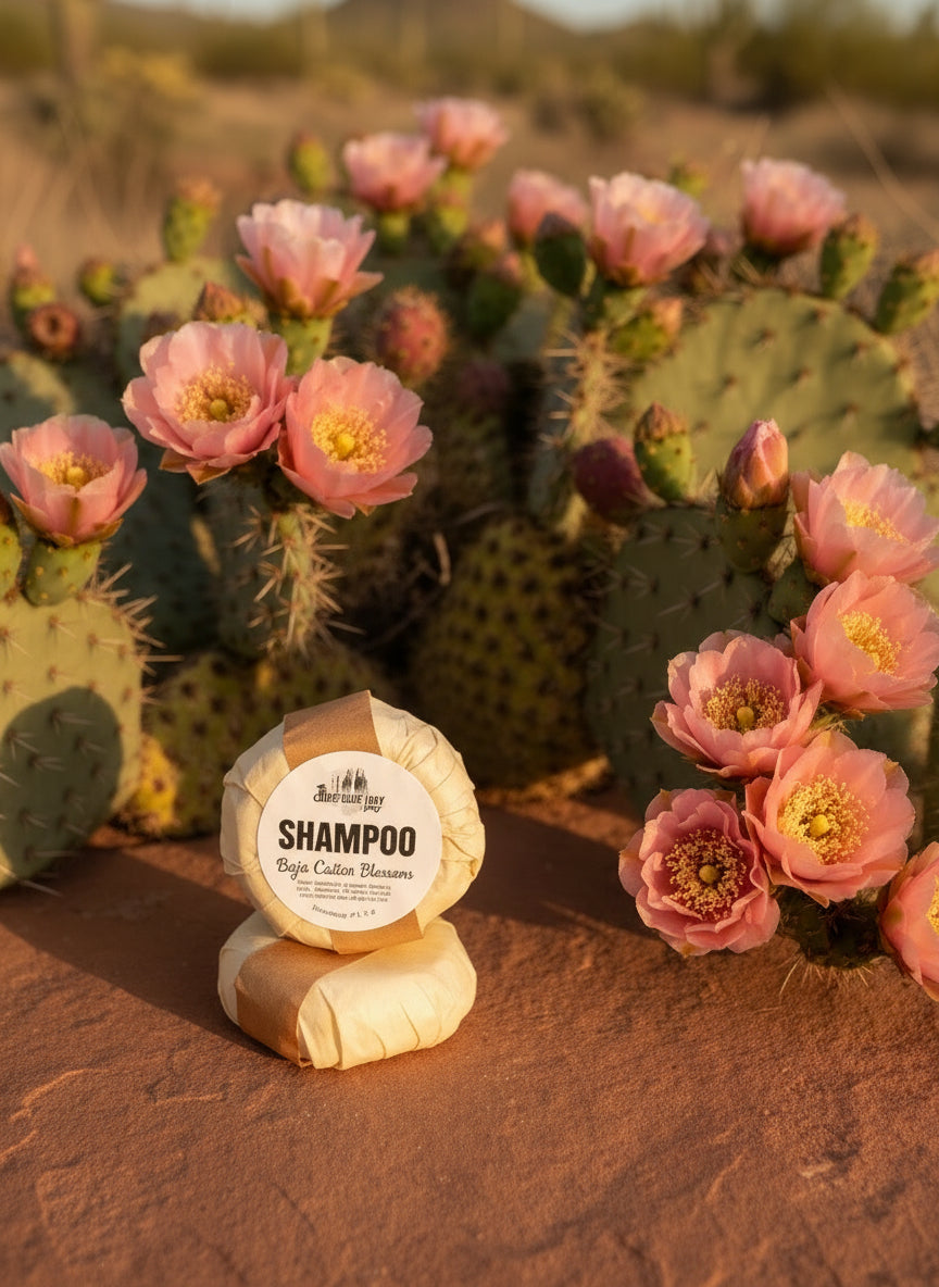 Shampoo Bar, Baja Cactus Blossom